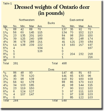 White Tailed Deer Size Chart